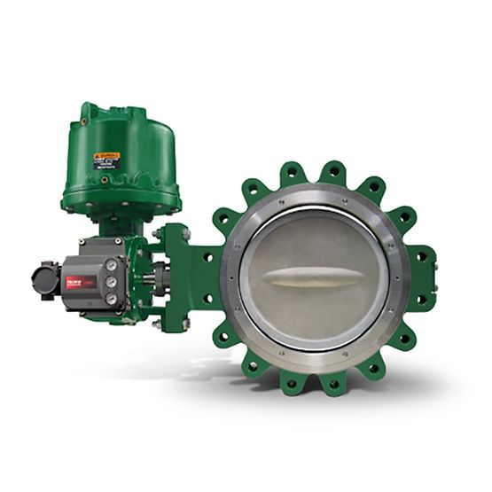 Fisher 1061 | Fisher Valve | Fisher Actuator